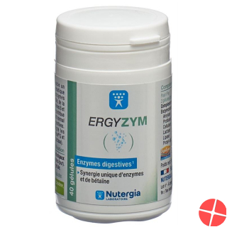 Nutergia Ergyzym Kapseln Dose 40 Stück