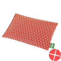 Sky green cherry pit cushion 30x20cm flower red