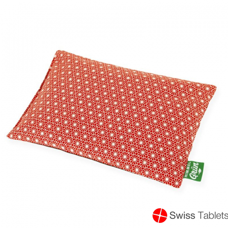 Sky green cherry pit cushion 30x20cm flower red buy online