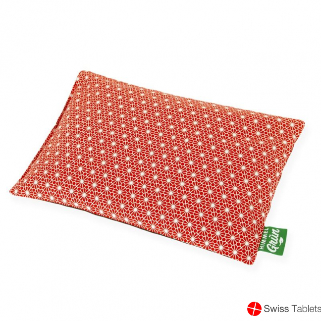 Sky green cherry pit cushion 30x20cm flower red buy online