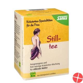 Salus Breastfeeding Tea Organic Bag 15 Piece