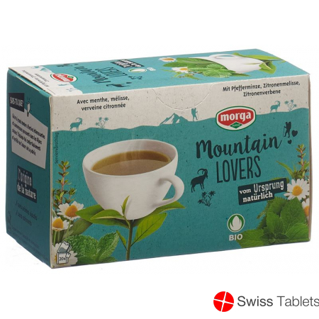 Morga Mountain Lovers Tee M/h Bio Knospe 20 Stück buy online
