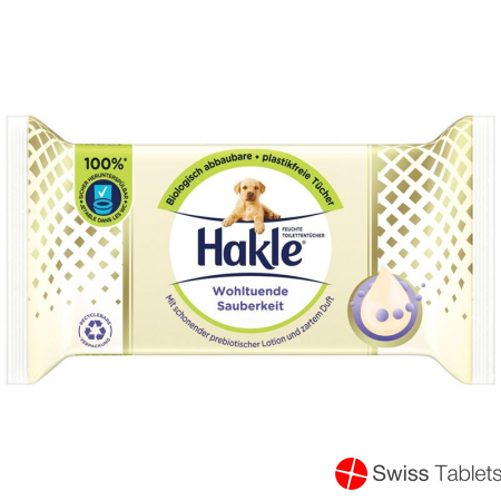 Hakle Feucht Wohltuende Sauberkeit Refill 38 Stück buy online