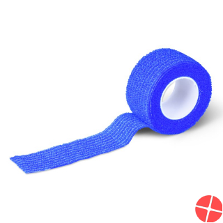 Fiwa Flex Pflasterbinde Haft Elastisch 2.5cmx4.5m Blau