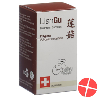 Liangu Polyporus Mushrooms Kapseln Dose 60 Stück