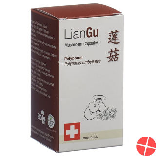 Liangu Polyporus Mushrooms Kapseln Dose 60 Stück
