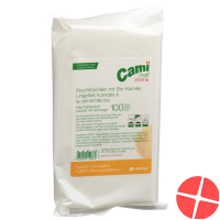 Cami Moll Intime Feuchttücher Refill Nf 100 Stück