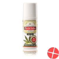 Apothekers Orig Pferdesalbe Hanf Roll-On 75ml Apothekers Orig Pferdesalbe Hanf Roll-On 75ml