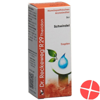 Reckeweg R29 Theridon Tropfen Flasche 50ml