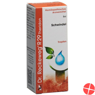 Reckeweg R29 Theridon Tropfen Flasche 50ml