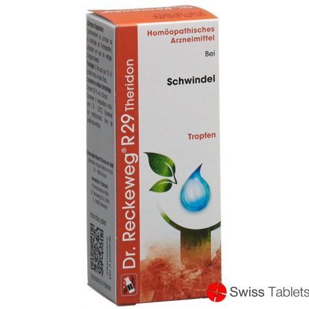 Reckeweg R29 Theridon Tropfen Flasche 50ml buy online