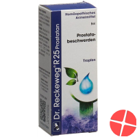 Reckeweg R25 Prostatan Tropfen Flasche 50ml
