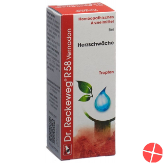 Reckeweg R58 Vernadon Tropfen Flasche 50ml
