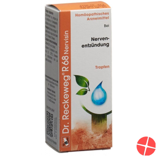 Reckeweg R68 Nervisin Tropfen Flasche 50ml