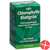 Tausendein Blattgrün 120 Dragées