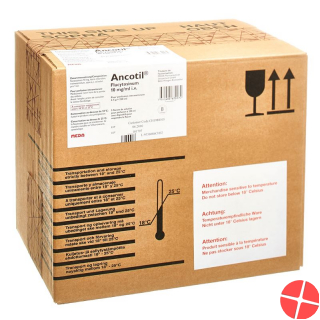 Ancotil Infusionslösung 1% 5x 250ml