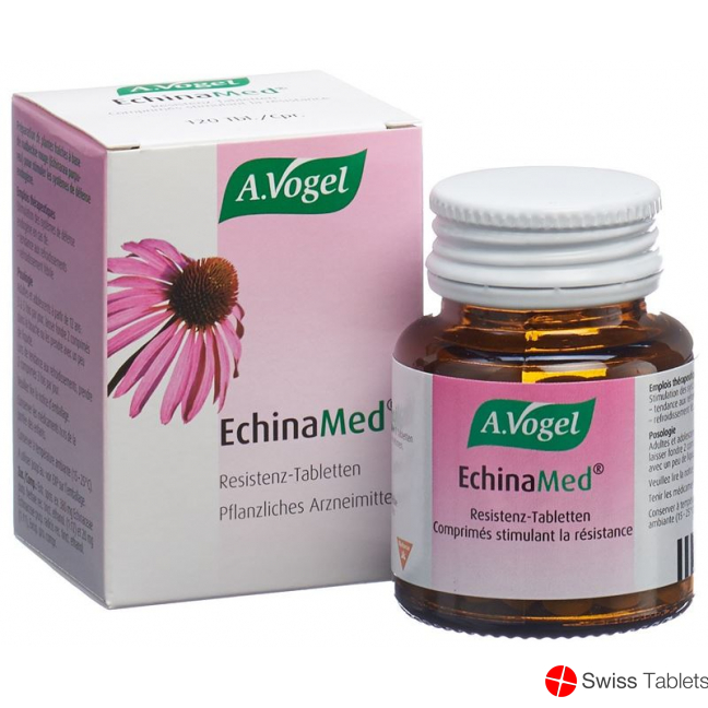 Echinamed 120 Resistenztabletten buy online