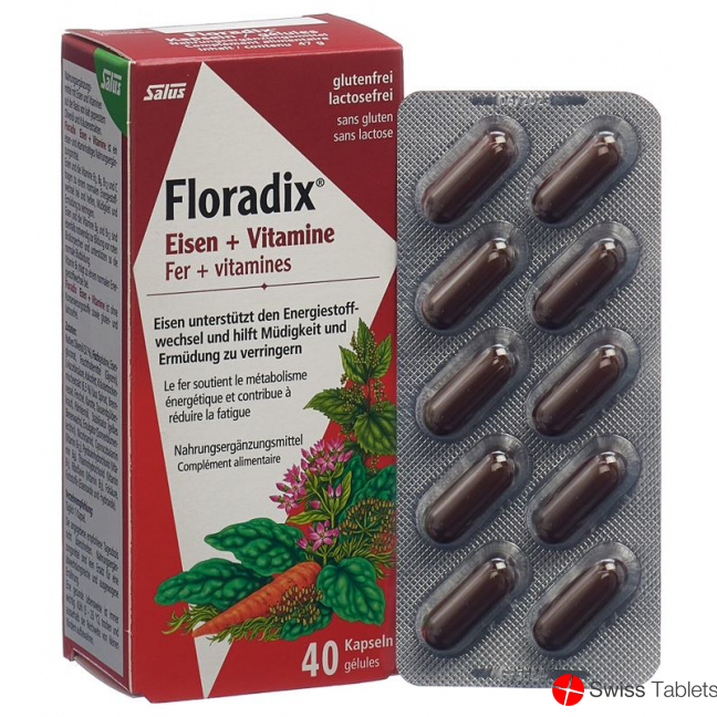 Floradix Vitamins + Organic Iron Capsules 40 Piece buy online