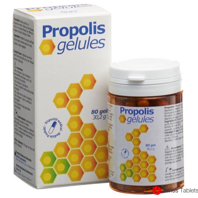 Propolis Gelules 377mg 80 Stück buy online