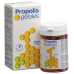 Propolis Gelules 377mg 80 Stück buy online