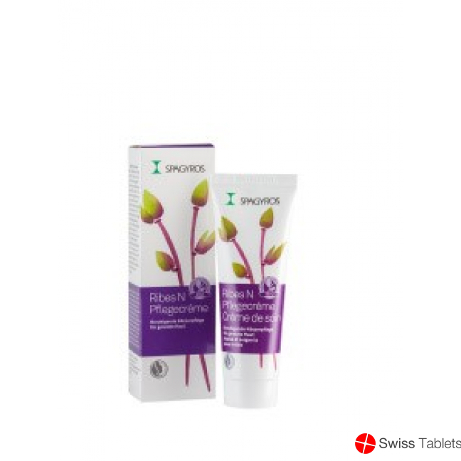 Spagyros Ribes N cream Tb 50 ml