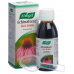 A. Vogel Echinaforce Hot drink hot drink 100 ml