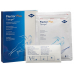 Flector Plus Tissugel Pfl 10 pcs