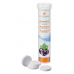 Livsane Magnesium Schwarzer Johannisbeeren 20 Stück buy online