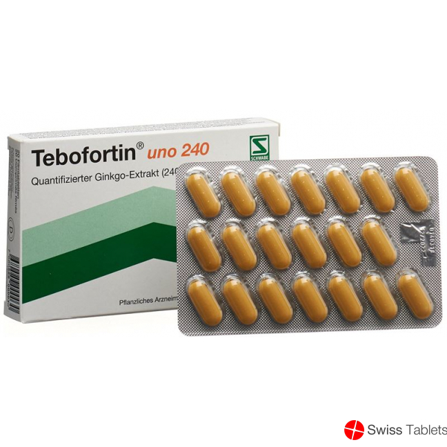 Tebofortin Uno 240 Filmtabletten 240mg 20 Stück buy online