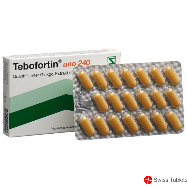 Tebofortin Uno 240 Filmtabletten 240mg 40 Stück buy online