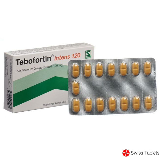Tebofortin Intens 120 Filmtabletten 120mg 30 Stück buy online