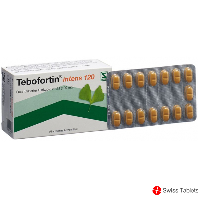 Tebofortin Intens 120 Filmtabletten 120mg 90 Stück buy online