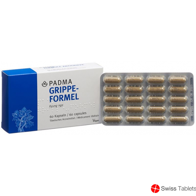 Padma Grippe-Formel Kapseln 60 Stück buy online