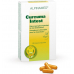 Alpinamed Curcuma Intest Capsules 60 pieces buy online