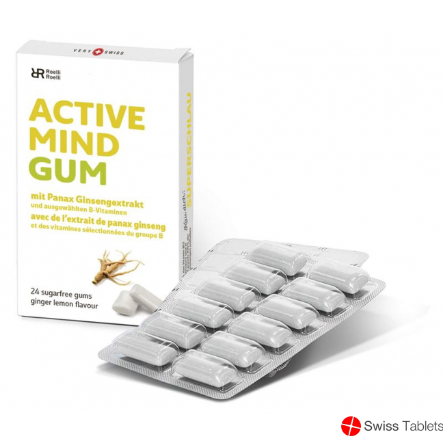 R&r Active Mind Gum 10x 24 Stück buy online