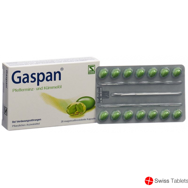 Gaspan Kapseln Magensaftresistent 28 Stück buy online