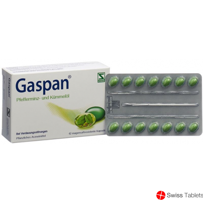 Gaspan Kapseln Magensaftresistent 42 Stück buy online