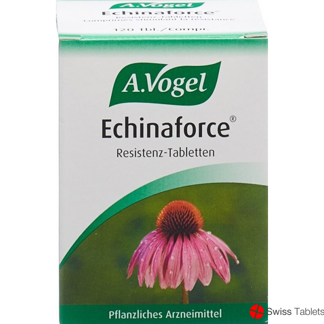 Vogel Echinaforce 120 Tabletten buy online