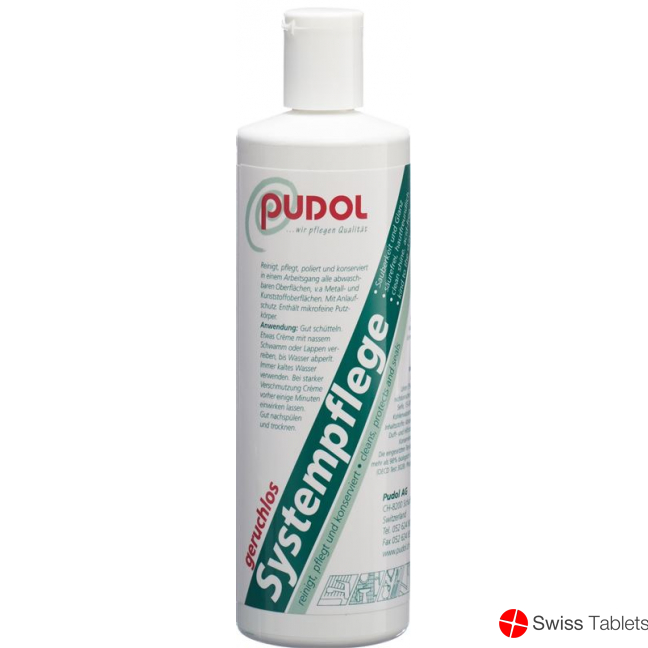 Pudol Systempflege Geruchlos 400g buy online