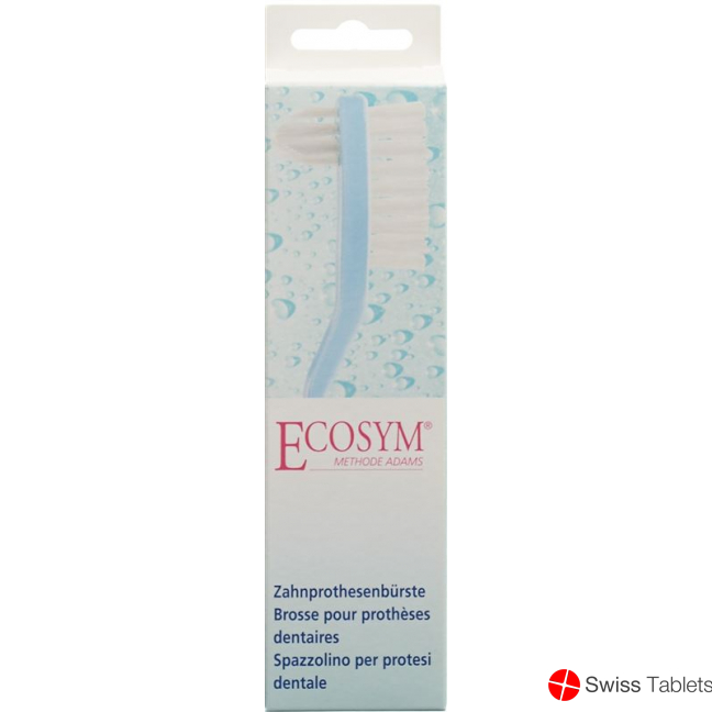 Ecosym denture brush buy online