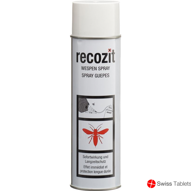 Recozit Wespen Spray 500ml buy online