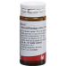 Wala Bronchi/plantago Comp Globuli 20g buy online