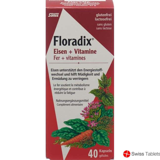 Floradix Vitamins + Organic Iron Capsules 40 Piece buy online