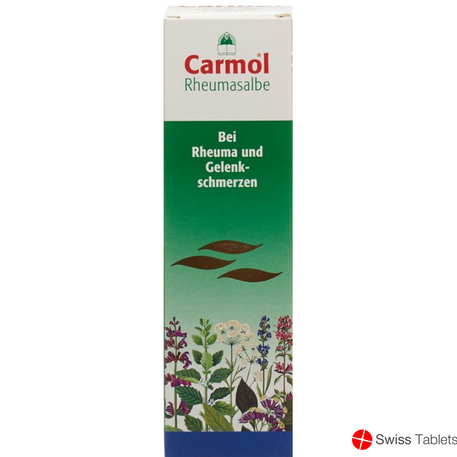 Carmol Rheumasalbe 80g buy online