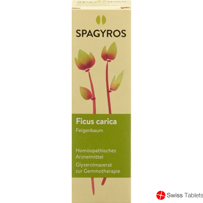 Spagyros Gemmo Ficus Carica Glyc Maz D 1 30ml buy online