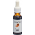 Apinatura Propolis Tinktur 20ml buy online