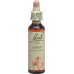 Bachblüten Aspen Nr. 2 Flüssig 20ml buy online