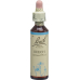 Bachblüten Beech Nr. 3 Flüssig 20ml buy online