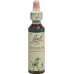 Bach-Blüten Centaury Nr. 4 20ml buy online