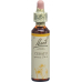Bach-Blüten Cerato Nr. 5 20ml buy online